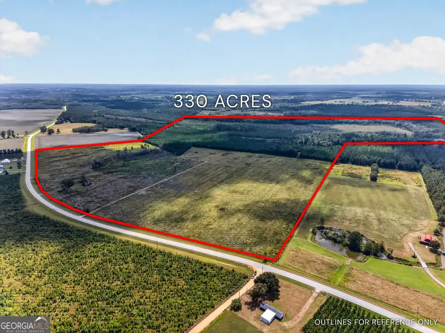 TRACT 1 Highway 203, Blackshear, GA 31516 - #2