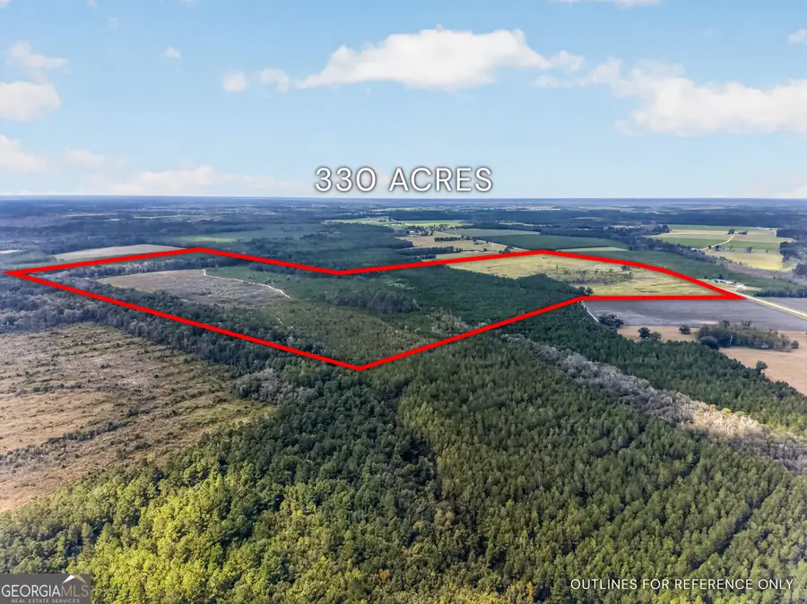 TRACT 1 Highway 203, Blackshear, GA 31516 - #3