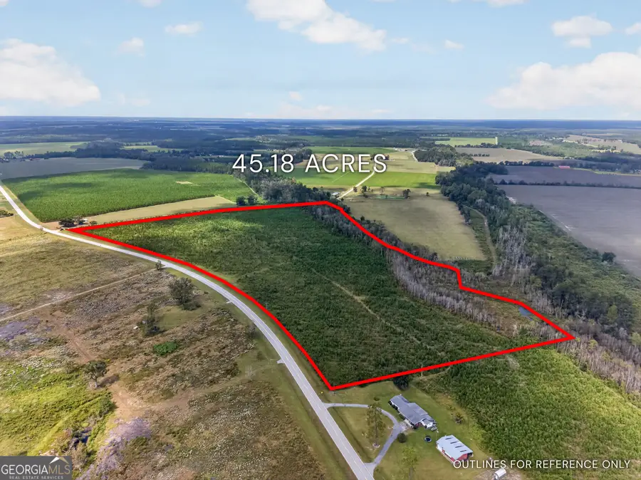 TRACT 2 Highway 203, Blackshear, GA 31516 - #2