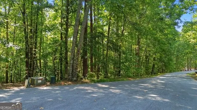 0 Rome Beauty Lane #LOT 1109, Clarkesville, GA 30523 - #1