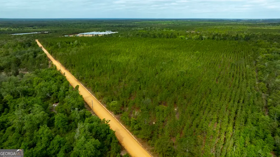 0 Rushing Boone Road, Glennville, GA 30427 - #2