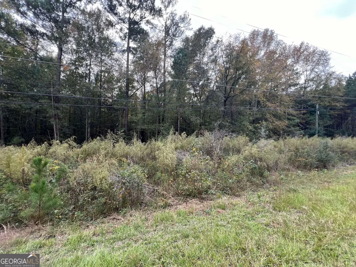 0 Owens Drive, Conyers, GA 30094 - #1