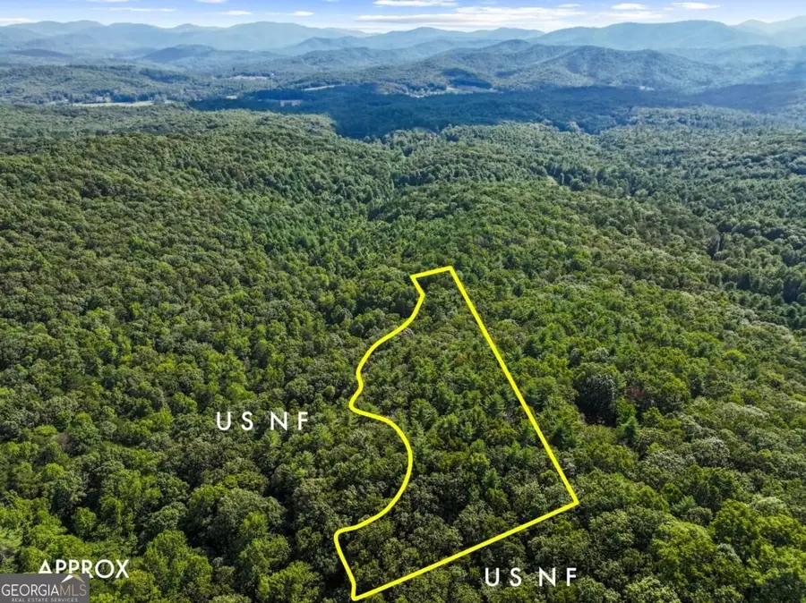 5.5 ACRE Forest Service Rd 35, Blue Ridge, GA 30513 - #2
