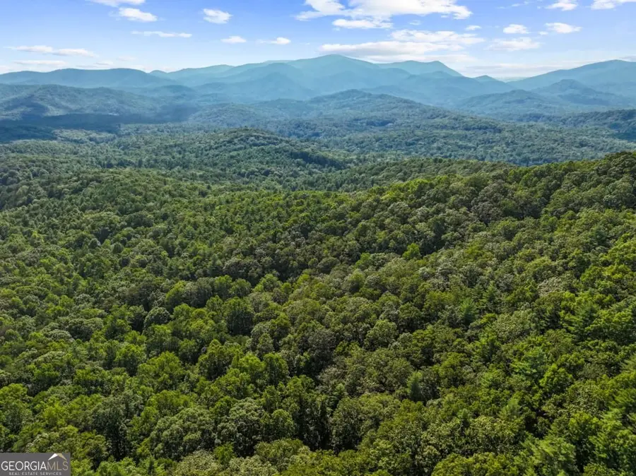 5.5 ACRE Forest Service Rd 35, Blue Ridge, GA 30513 - #3