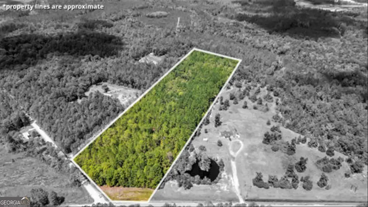 15.5 AC Elim Church Road Ne, Ludowici, GA 31316 - #1