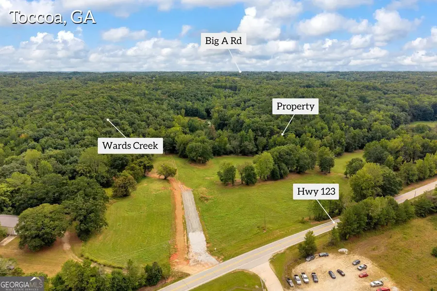 2104 Hwy 123, Toccoa, GA 30577 - #2