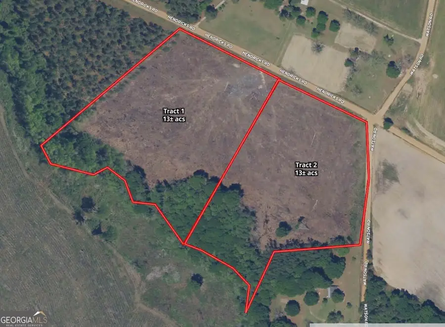 0 Watson & Hendricks Roads #TRACT 1, Metter, GA 30439 - #2