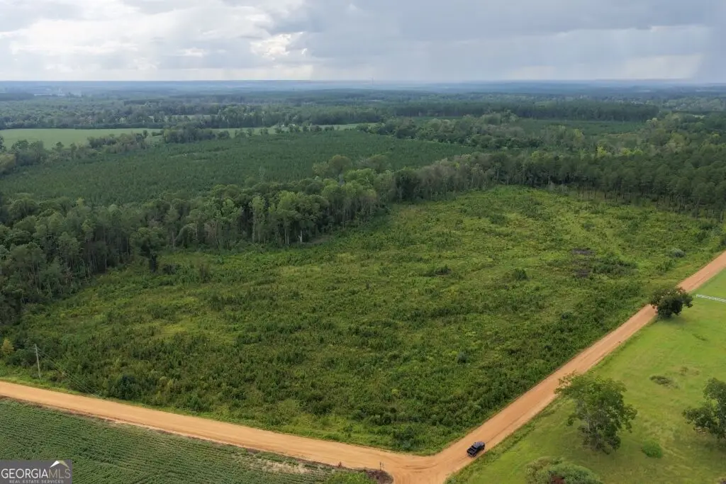 0 Watson & Hendricks Roads #TRACT 2, Metter, GA 30439 - #1