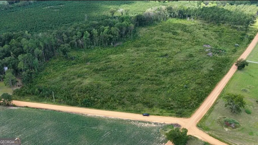 0 Watson & Hendricks Roads #TRACT 2, Metter, GA 30439 - #3