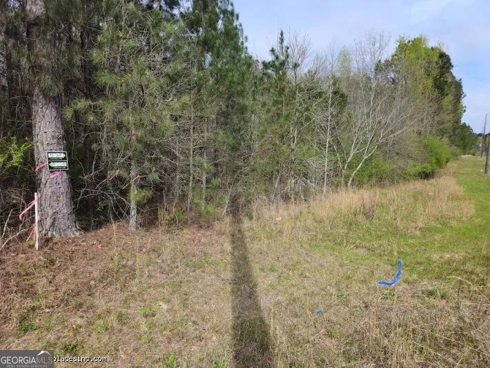 0 TRACT 2B Us Highway 341 N, Musella, GA 31066 - #1