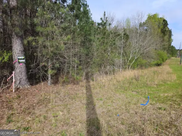 0 TRACT 4A Us Highway 341 N, Musella, GA 31066