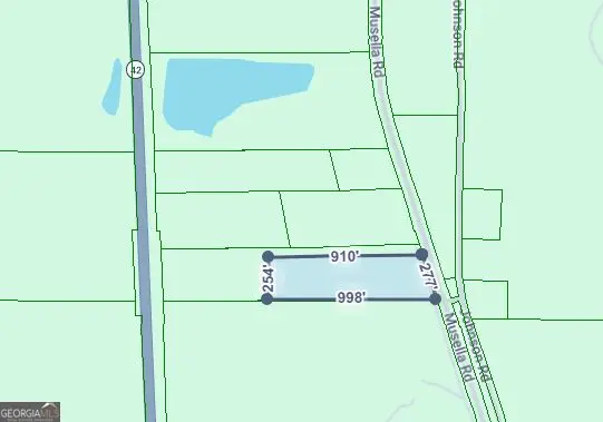 0 TRACT 2B Us Highway 341 N, Musella, GA 31066 - #2