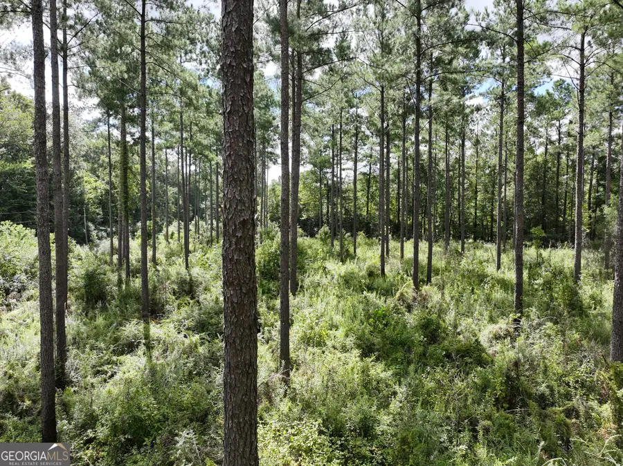 0 Old Us 84, Gordon, AL 36343 - #3