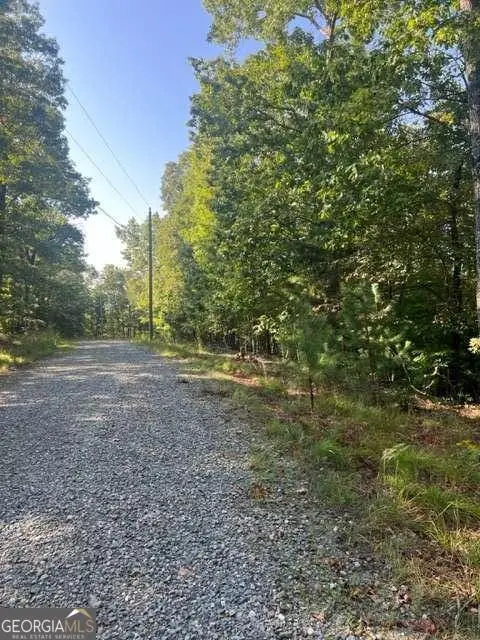 LT 32 Buck Creek Road, Ellijay, GA 30540 - #1