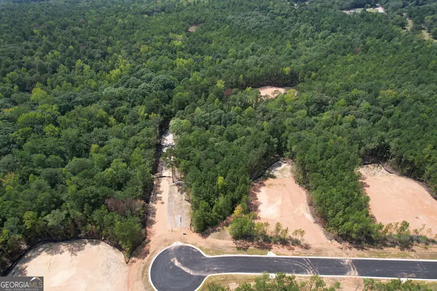 LOT 9 High Pointe, Lagrange, GA 30241 - #2