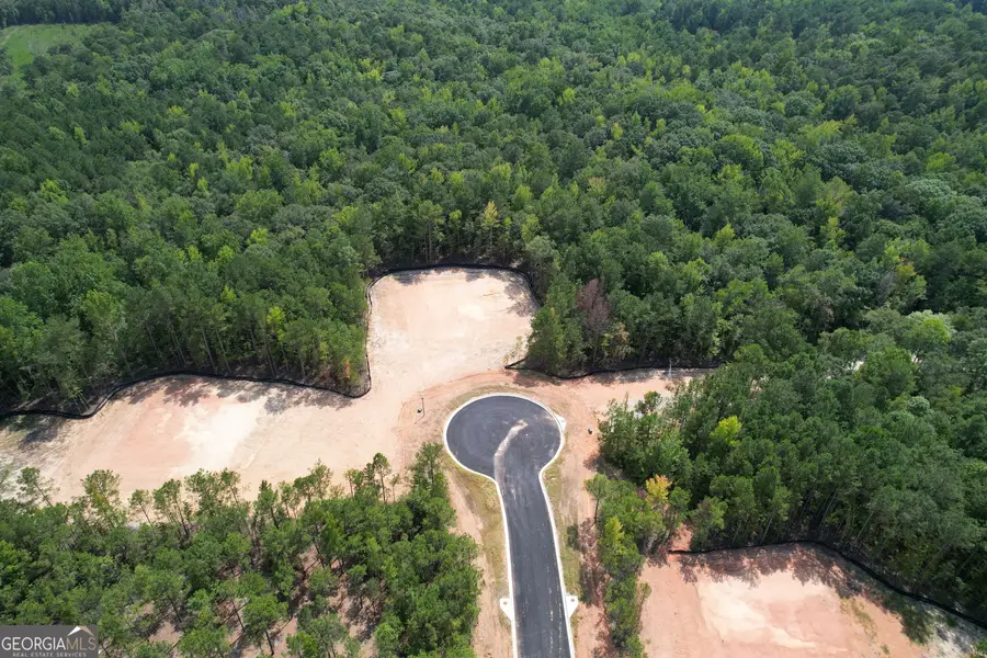 LOT 10 High Pointe, Lagrange, GA 30241 - #2