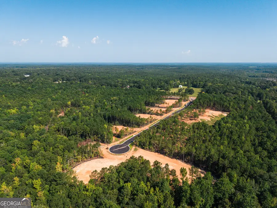 LOT 11 High Pointe, Lagrange, GA 30241 - #3