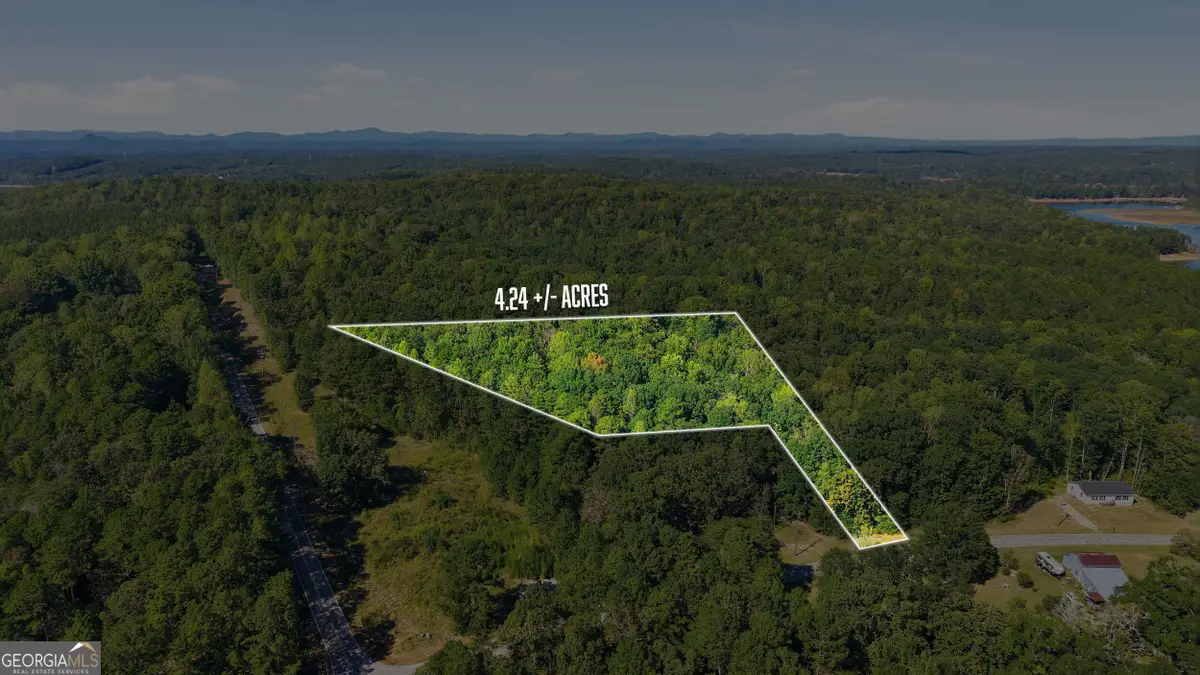 2375 E Silver Shoals Road #TRACT 2, Toccoa, GA 30577 - #1