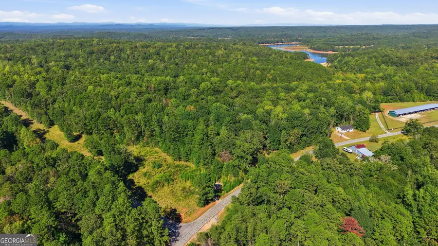 2375 E Silver Shoals Road #TRACT 2, Toccoa, GA 30577 - #2