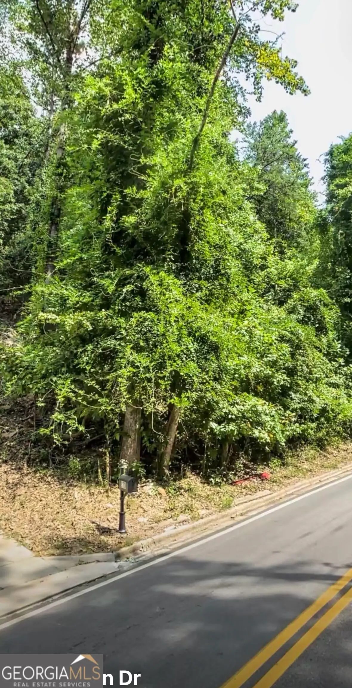 806 Dixon Drive, Gainesville, GA 30501 - #1