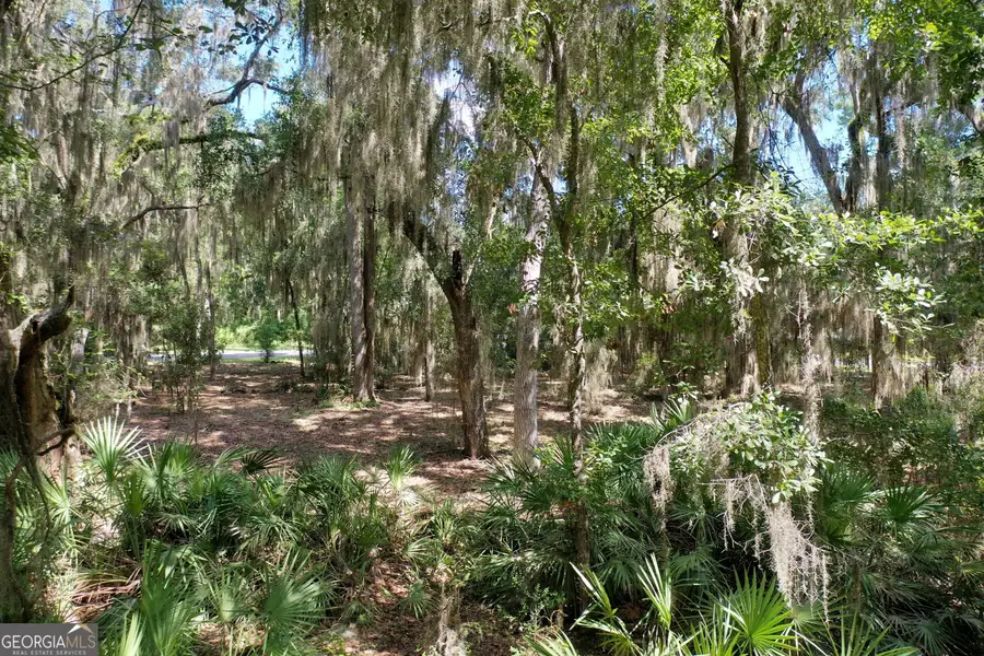 0 White Caps Way #1077, Saint Marys, GA 31558 - #3
