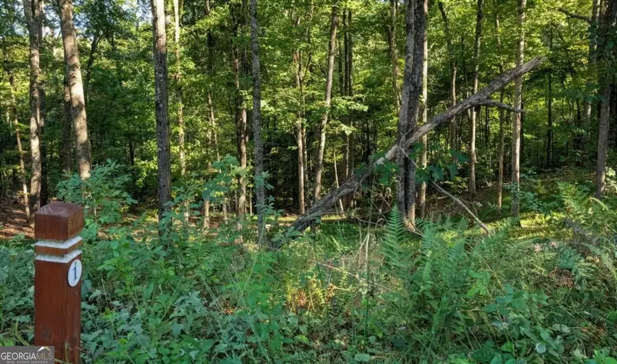 LOT 1 White Oak Circle, Blue Ridge, GA 30513 - #2