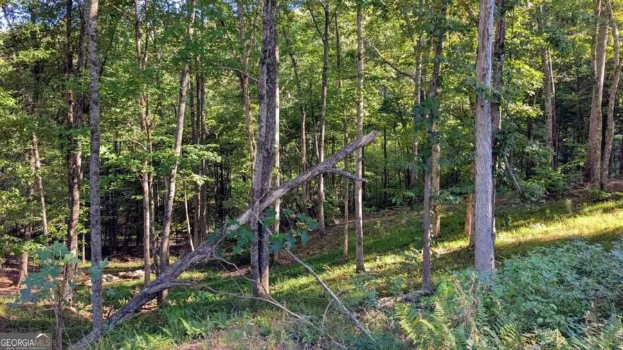 LOT 1 White Oak Circle, Blue Ridge, GA 30513 - #3