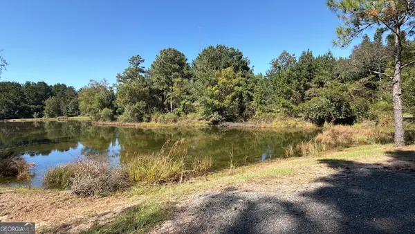 0 Edna Moore Road, Eastman, GA 31023