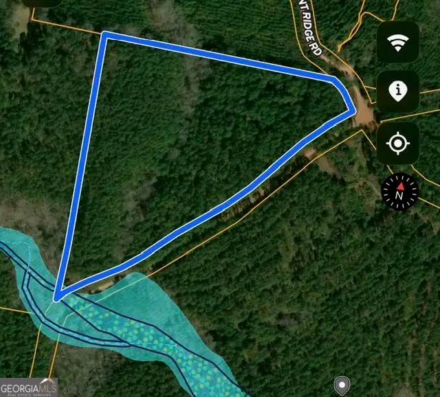 17 ACRES Carlisle Gap Rd, Woodland, GA 31836 - #2