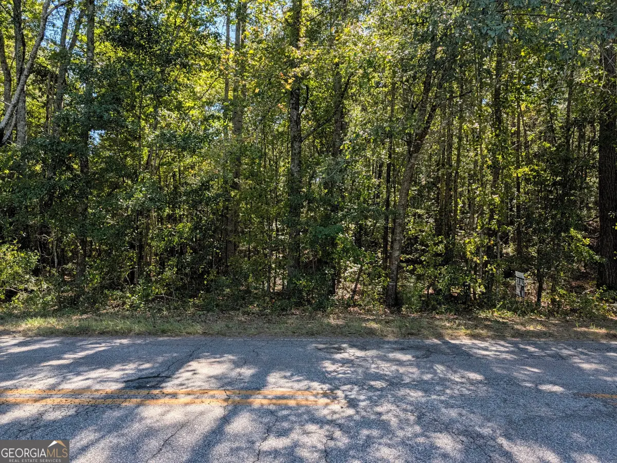 0 CHAPPELL MILL Chappell Mill Road, Milner, GA 30257 - #1