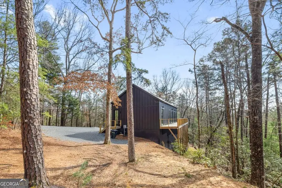 206 Anderson Drive, Blue Ridge, GA 30513 - #2