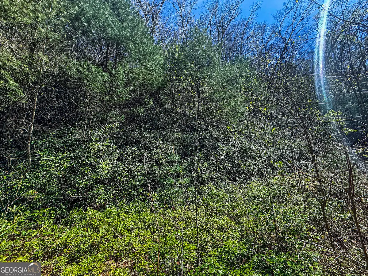 TR 5 Outback Lane, Rabun Gap, GA 30568 - #1