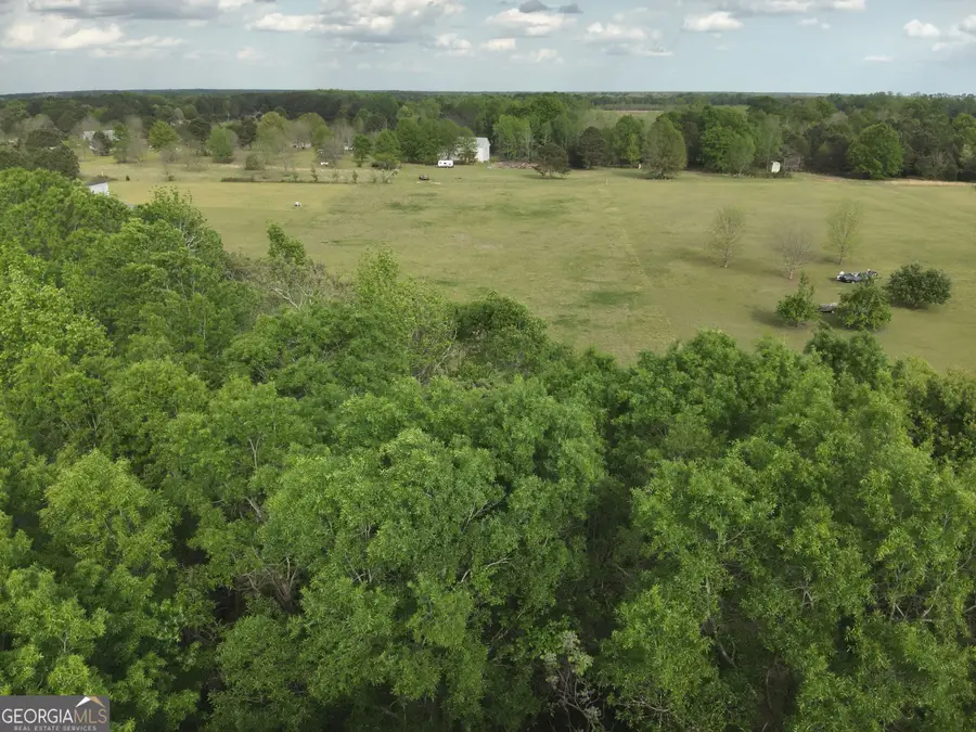 224 Scott Road, Elko, GA 31025 - #3