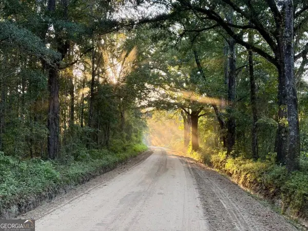 0 Old Moore Road #5, Portal, GA 30450