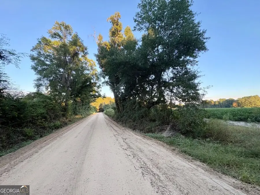 0 Old Moore Road #6, Portal, GA 30450 - #3