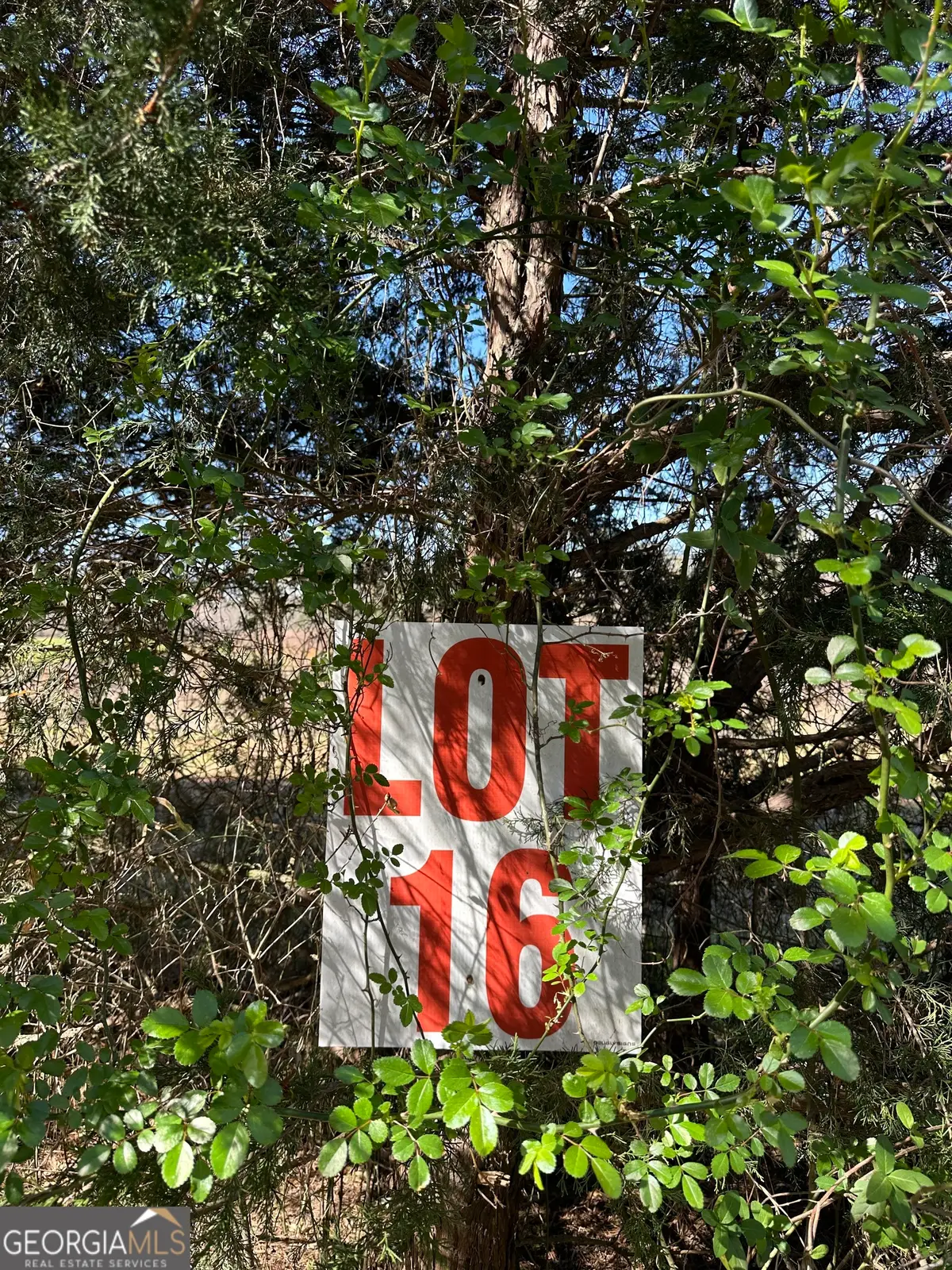 139 Oak Road #LOT 16, Locust Grove, GA 30248 - #1