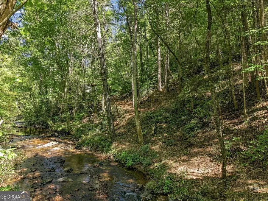 0 Dell Moore Road #LOT 3, Marble Hill, GA 30148 - #3