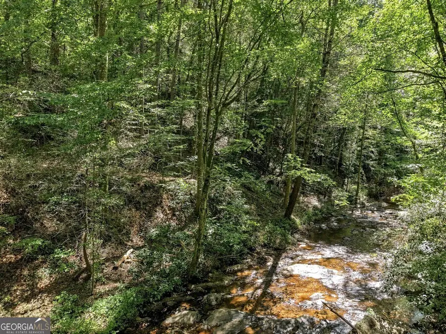 0 Dell Moore Road #LOT 4, Marble Hill, GA 30148 - #3
