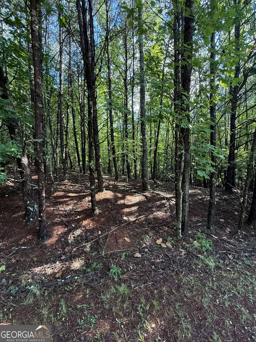 LOT 4 Marci Lane, Sautee Nacoochee, GA 30571 - #2