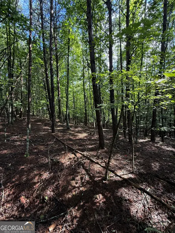 LOT 5 Marci Lane, Sautee Nacoochee, GA 30571