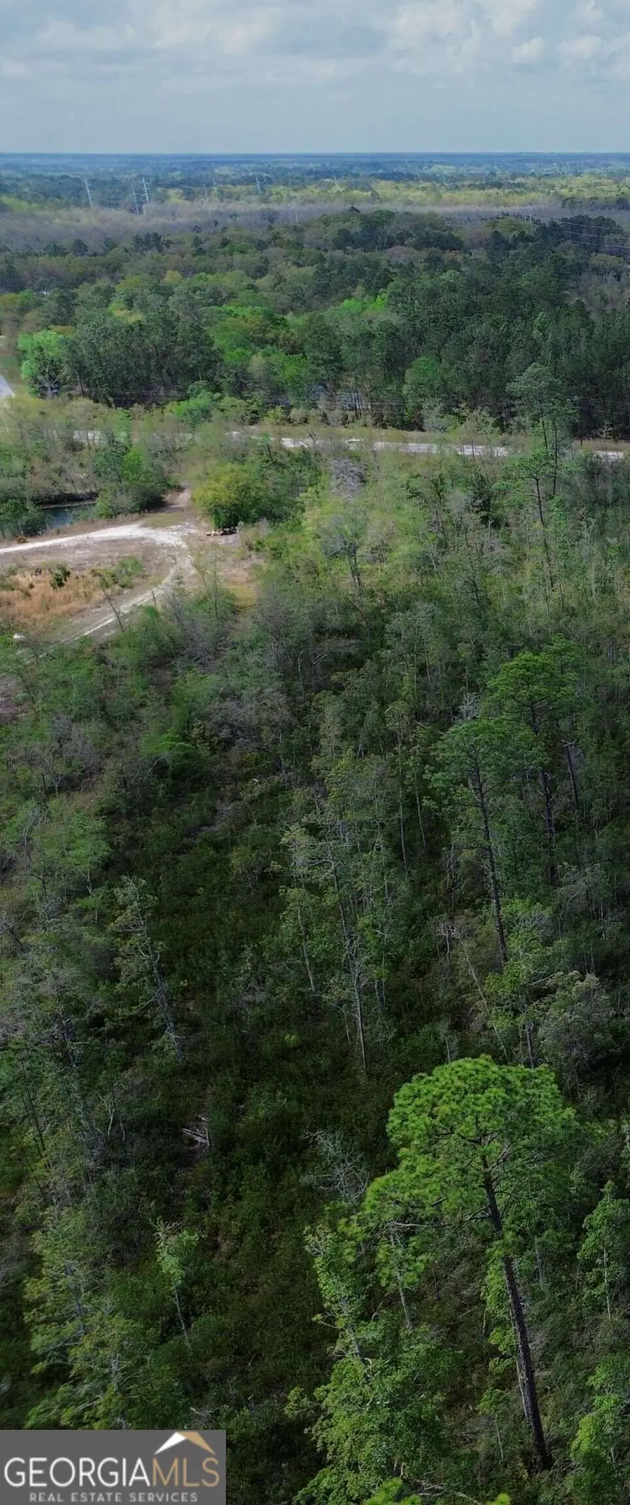 0 Hwy 204 Highway, Ellabell, GA 31308 - #3