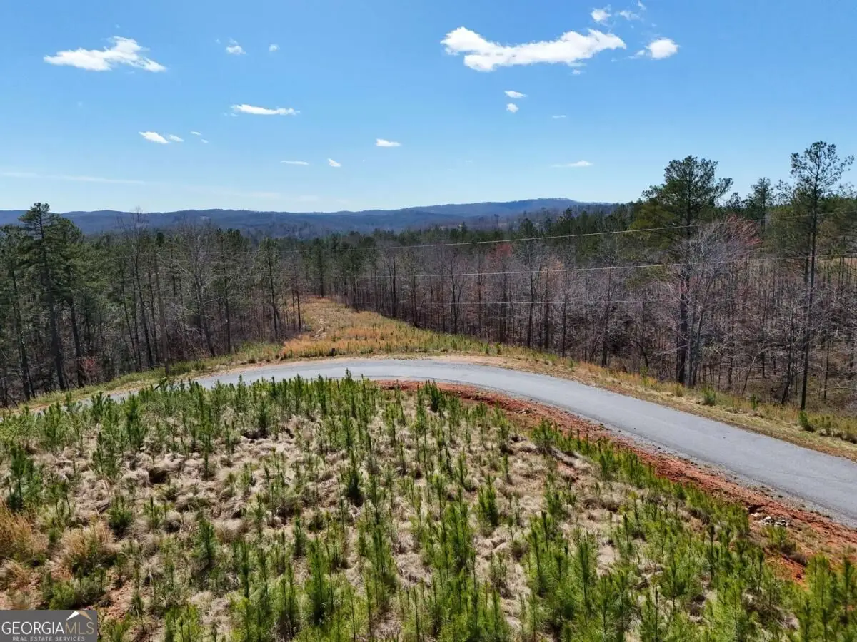 155 Shallow Water Trail, Talking Rock, GA 30175 - #1