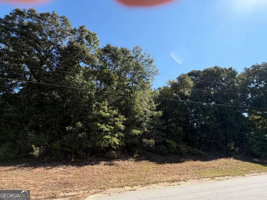 100 Dogwood Glen Drive, Centerville, GA 31028 - #2
