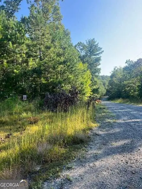LT 50 White Pine Ridge, Ellijay, GA 30540