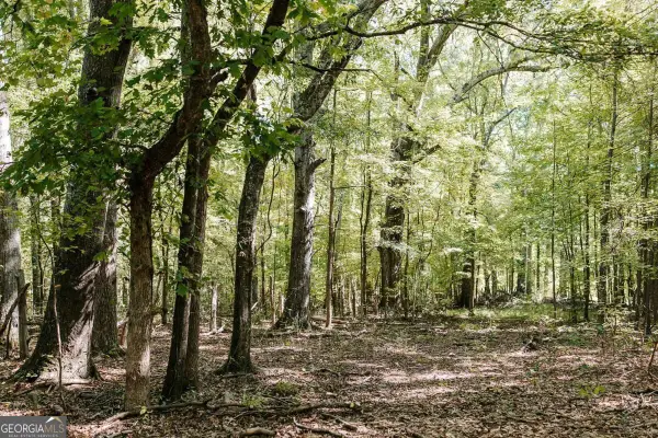 0 Lundburg Road, Washington, GA 30673
