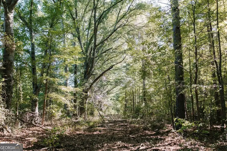0 Lundburg Road, Washington, GA 30673 - #3