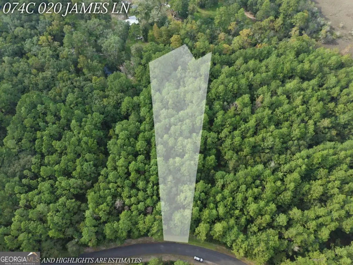 LOT 20 James Lane, White Oak, GA 31568 - #1