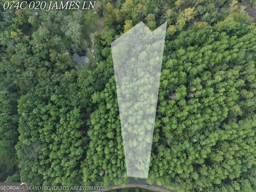 LOT 20 James Lane, White Oak, GA 31568 - #2