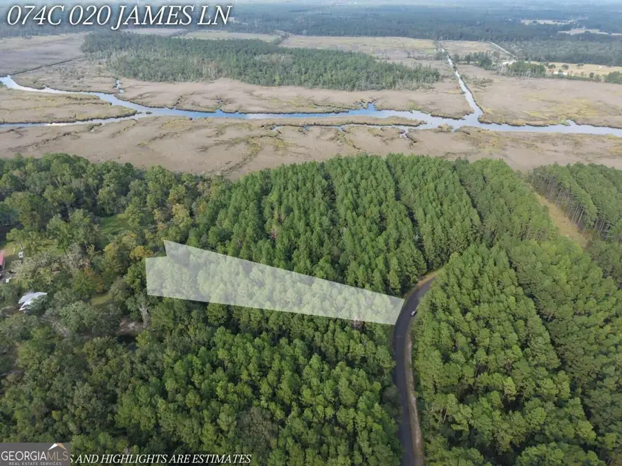 LOT 20 James Lane, White Oak, GA 31568 - #3