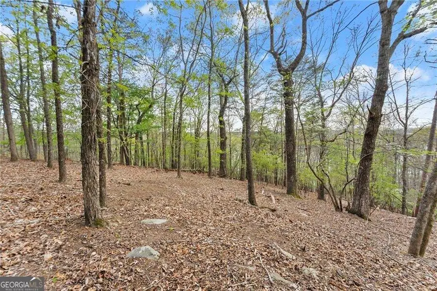 2524 Thompson Ovlk, Gainesville, GA 30506 - #2